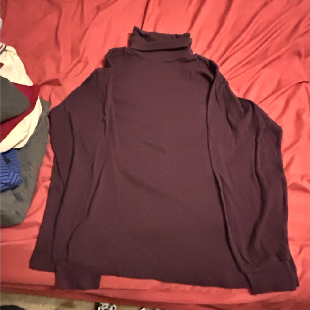 Casual Corner Plum Turtleneck Sweater